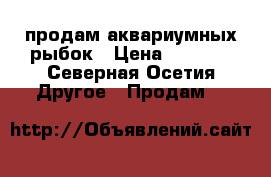 продам аквариумных рыбок › Цена ­ 1 500 - Северная Осетия Другое » Продам   